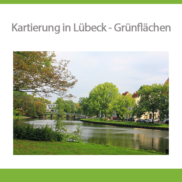 Lakeexplorer web-app